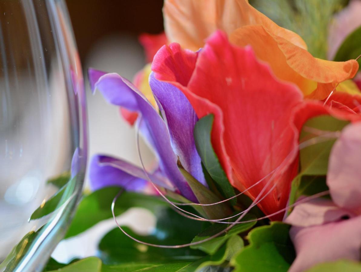 Ferien-Apartment Im Genusshotel Hirschen Kleines Wiesental エクステリア 写真