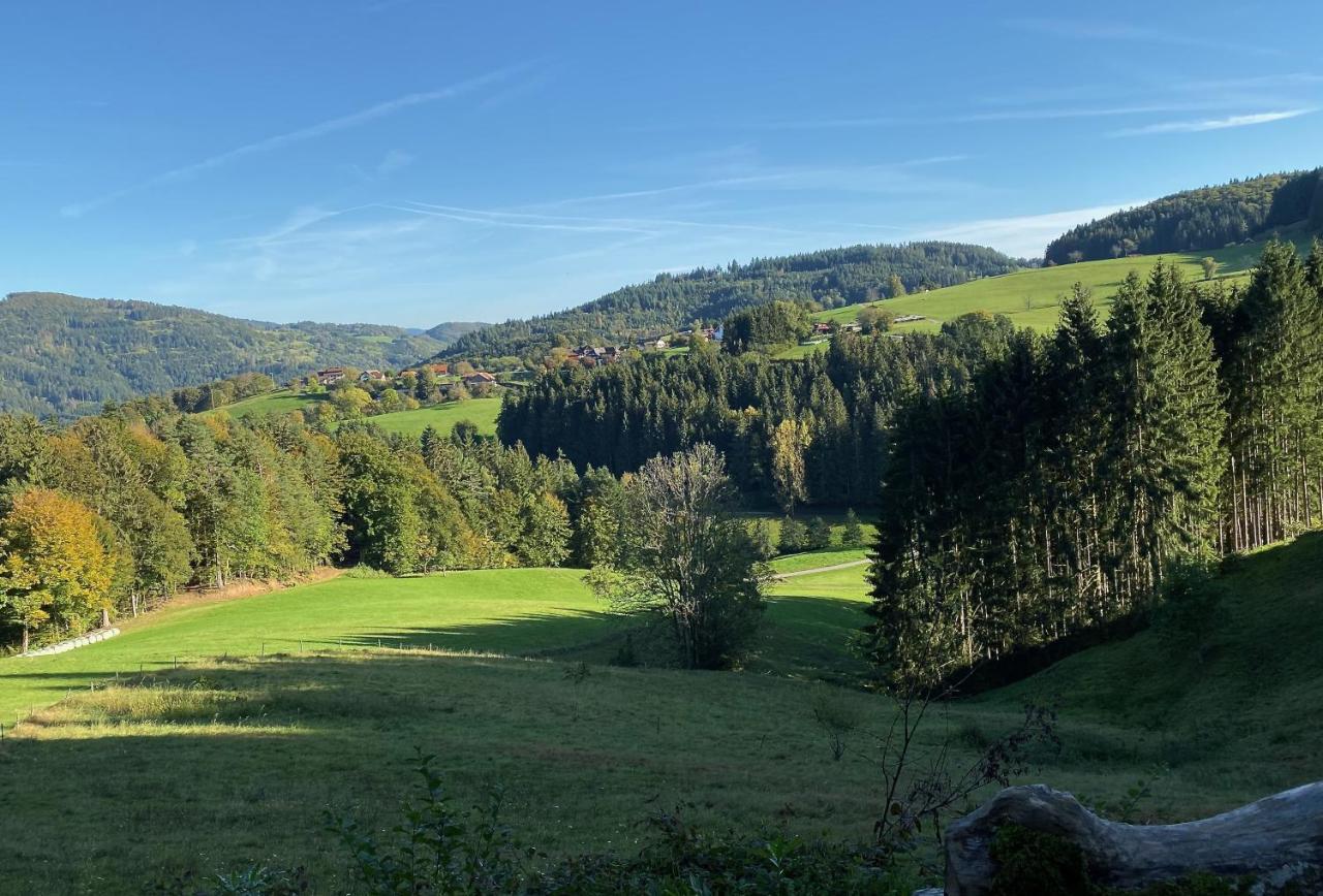 Ferien-Apartment Im Genusshotel Hirschen Kleines Wiesental エクステリア 写真